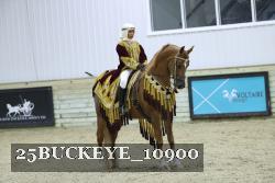 25BUCKEYE_10900 thumbnail