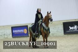 25BUCKEYE_10901 thumbnail