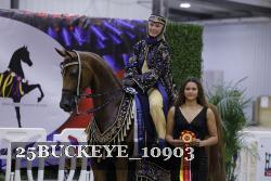 25BUCKEYE_10903 thumbnail