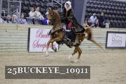 25BUCKEYE_10911 thumbnail