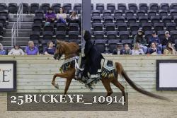 25BUCKEYE_10914 thumbnail