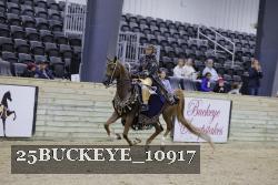 25BUCKEYE_10917 thumbnail
