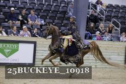25BUCKEYE_10918 thumbnail