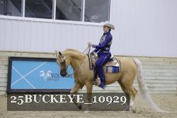 25BUCKEYE_10929 thumbnail