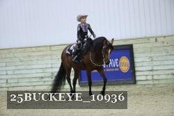 25BUCKEYE_10936 thumbnail