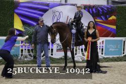 25BUCKEYE_10942 thumbnail