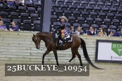 25BUCKEYE_10954 thumbnail