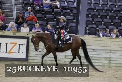 25BUCKEYE_10955 thumbnail
