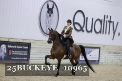 25BUCKEYE_10965 thumbnail