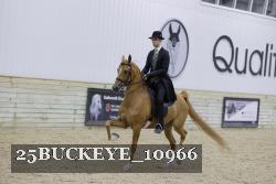 25BUCKEYE_10966 thumbnail