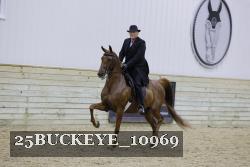 25BUCKEYE_10969 thumbnail