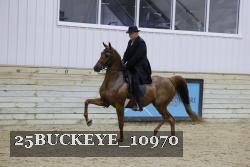 25BUCKEYE_10970 thumbnail