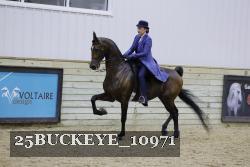 25BUCKEYE_10971 thumbnail