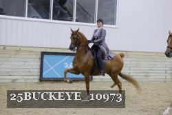 25BUCKEYE_10973 thumbnail