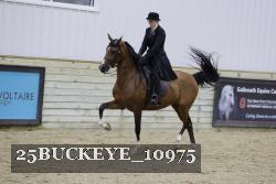 25BUCKEYE_10975 thumbnail