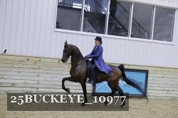 25BUCKEYE_10977 thumbnail