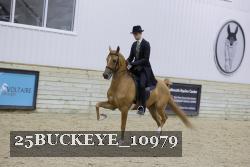 25BUCKEYE_10979 thumbnail