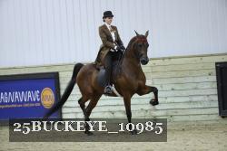 25BUCKEYE_10985 thumbnail