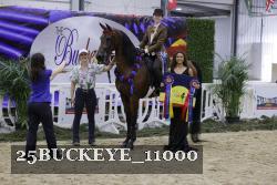 25BUCKEYE_11000 thumbnail