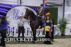 25BUCKEYE_11001 thumbnail
