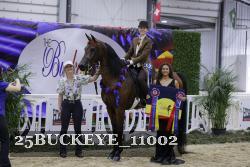 25BUCKEYE_11002 thumbnail