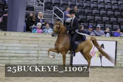 25BUCKEYE_11007 thumbnail