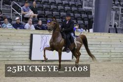 25BUCKEYE_11008 thumbnail