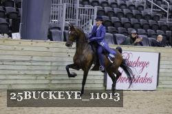 25BUCKEYE_11013 thumbnail