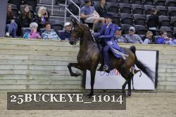 25BUCKEYE_11014 thumbnail