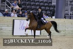25BUCKEYE_11016 thumbnail