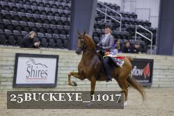 25BUCKEYE_11017 thumbnail
