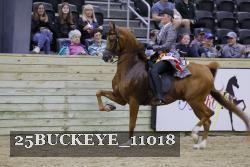 25BUCKEYE_11018 thumbnail