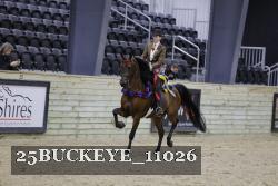 25BUCKEYE_11026 thumbnail