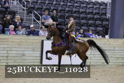 25BUCKEYE_11028 thumbnail