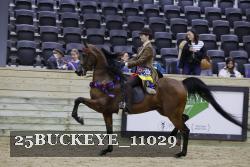 25BUCKEYE_11029 thumbnail