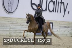 25BUCKEYE_11031 thumbnail