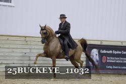 25BUCKEYE_11032 thumbnail