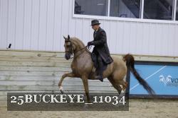 25BUCKEYE_11034 thumbnail