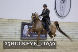 25BUCKEYE_11036 thumbnail