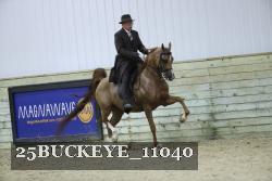 25BUCKEYE_11040 thumbnail