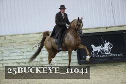 25BUCKEYE_11041 thumbnail