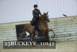 25BUCKEYE_11042 thumbnail