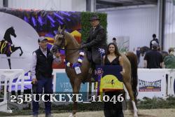 25BUCKEYE_11046 thumbnail
