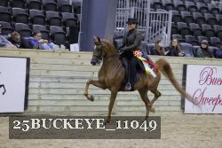 25BUCKEYE_11049 thumbnail