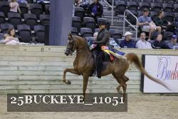 25BUCKEYE_11051 thumbnail