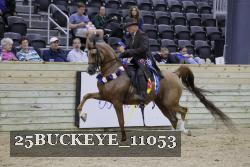 25BUCKEYE_11053 thumbnail