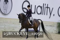 25BUCKEYE_11056 thumbnail