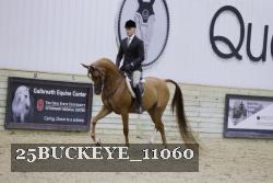25BUCKEYE_11060 thumbnail