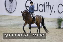 25BUCKEYE_11064 thumbnail