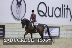 25BUCKEYE_11067 thumbnail